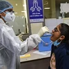 Nhân viên y tế lấy mẫu xét nghiệm COVID-19 cho người dân tại Ahmedabad, Ấn Độ. (Ảnh: AFP/TTXVN)