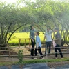 Du khách đến tham quan địa điểm du lịch vườn táo ở huyện Gò Công Đông, tỉnh Tiền Giang. (Ảnh: Hữu Chí/TTXVN)