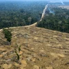 Khoảng rừng Amazon bị đốt phá tại Porto Velho, bang Rondonia, Brazil. (Ảnh: AFP/TTXVN)