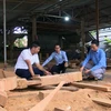 Ông Nguyễn Văn Minh (bên trái) chia sẻ về quy trình làm nhà từ gỗ mít. (Ảnh: Hữu Quyết/TTXVN)