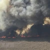 Bolivia: Cháy rừng khiến hàng nghìn trường học phải đóng cửa
