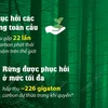 Bảo vệ rừng là biện pháp hữu ích giúp giảm khí carbon