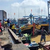 Tàu bốc dỡ cá tại Cảng cá Xí nghiệp Dịch vụ hậu cần Thủy sản Hưng Thái, huyện Long Điề, tỉnh Bà Rịa-Vũng Tàu. (Ảnh: Hoàng Nhị/TTXVN)