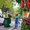 Những "bông hoa" thầm lặng làm sạch phố phường Thủ đô 