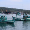 Tàu cá trên vùng biển An Thới, thành phố Phú Quốc, tỉnh Kiên Giang. (Ảnh: Lê Huy Hải/TTXVN)