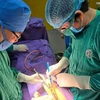 Một ekíp thực hiện phẫu thuật lấy dị vật ra khỏi ổ bụng bệnh nhân ở Quảng Ninh. (Ảnh: TTXVN phát)