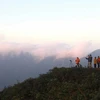 Du khách đón chờ bình minh trên đỉnh núi Tà Chì Nhù. (Nguồn: Cục Du lịch Quốc gia Việt Nam)