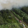 Đang xảy ra cháy rừng tại Cà Mau 