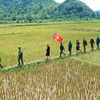 Bộ đội Biên phòng Quảng Trị đảm bảo an ninh nơi phên dậu Tổ quốc 