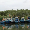 Hàng loạt tàu cá tại xã Lộc An, tỉnh Bà Rịa-Vũng Tàu, phải nằm bờ do giấy phép quy định không đúng với vùng khai thác ngành nghề. (Ảnh: Hoàng Nhị/TTXVN)