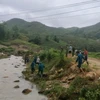 Các lực lượng tìm kiếm nạn nhân còn lại dọc theo khu vực suối xã Nậm Chày, huyện Văn Bàn, tỉnh Lào Cai. (Ảnh: TTXVN phát)