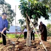Lãnh đạo Thành ủy, UBND thành phố Thủ Dầu Một, tỉnh Bình Dương tham gia trồng cây ăn quả phủ xanh đất công để tạo công viên. (Ảnh: TTXVN phát)