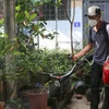 Phun hóa chất diệt muỗi tại một ổ dịch trên địa bàn quận Hải An, thành phố Hải Phòng. (Ảnh: Minh Thu/TTXVN)