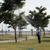 Công nhân chăm sóc cây xanh tại Khu đô thị mới Nam thành phố Tuy Hòa. (Ảnh: Xuân Triệu/TTXVN)