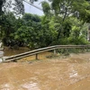 Mưa lớn, nước sông dâng cao gây ngập cục bộ, các phương tiện di chuyển khó khăn trên tuyến đường từ thành phố Lào Cai đi khu du lịch quốc gia Sa Pa. (Ảnh: Quốc Khánh/TTXVN)