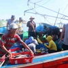 Các tàu cá ở tỉnh Quảng Nam cập bến xếp hàng chờ đến lượt đưa sản phẩm khai thác lên xe chuyên dụng. (Ảnh: Đoàn Hữu Trung/TTXVN)