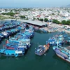 Cảng cá Mỹ Tân, xã Thanh Hải, huyện Ninh Hải, tỉnh Ninh Thuận, được đầu tư đồng bộ đáp ứng yêu cầu phát triển kinh tế biển của địa phương. (Ảnh: Nguyễn Thành/TTXVN)