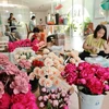 Maypaperflower - hoa giấy nghệ thuật trên đất Cố đô Huế