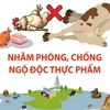 Bộ Y tế khuyến cáo người dân vùng bão lũ không sử dụng gia súc, gia cầm chết 