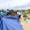 Người dân tích cực đắp cát, bạt qua đê để ngăn lũ. (Ảnh: Thanh Thương/TTXVN)