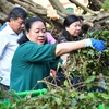 Bí thư Thành ủy Hà Nội Bùi Thị Minh Hoài tham gia vệ sinh môi trường cùng người dân tại phố Trần Hưng Đạo, quận Hoàn Kiếm. (Ảnh: TTXVN phát)