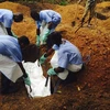 Không đưa lao động sang các vùng có khả năng lây dịch Ebola