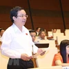 Đại biểu Quốc hội thành phố Hà Nội Hoàng Văn Cường phát biểu ý kiến. (Ảnh: Doãn Tấn/TTXVN)