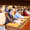 Quốc hội biểu quyết thông qua Bộ Luật Lao động sửa đổi. (Ảnh: Lâm Khánh/TTXVN)