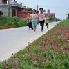 Trẻ em xã Hải Đông, huyện Hải Hậu, Nam Định vui chơi trên con đường làng nông thôn mới. (Ảnh minh họa: Công Luật/TTXVN)