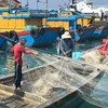 Việt Nam đang nỗ lực phát triển ngành nuôi trồng và khai thác hải sản bền vững. (Ảnh: PV/Vietnam+)