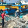 Việt Nam đã thực hiện 4 nhóm vấn đề theo khuyến nghị của EC gồm: Khung pháp lý; quản lý đội tàu, theo dõi, kiểm tra kiểm soát tàu cá; truy xuất nguồn gốc và thực thi pháp luật. (Ảnh: PV/Vietnam+)