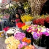 Chợ hoa Quảng An vắng khách trước ngày Lễ 8/3. (Ảnh: Minh Hiếu/Vietnam+)