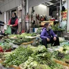 Giá rau xanh hiện đang tăng tới 40% tại các chợ truyền thống và dân sinh trên địa bàn thành phố Hà Nội. (Ảnh: PV/Vietnam+)
