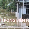 Hà Nội: Người dân thôn Đại Lan khốn khổ vì nhà cửa chìm trong biển nước