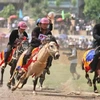 Đưa lễ hội đua ngựa của đồng bào Mông về Hà Nội 