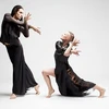 Châu Âu gặp châu Á trên sân khấu múa đương đại 2014