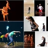 Bảy tác phẩm múa đương đại thế giới hội tụ ở sân khấu Hà Nội 