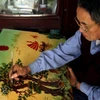 Nghệ nhân làng nghề sơn mài Cát Đằng chăm chút cho một bức tranh. (Ảnh minh họa: Báo Ảnh Việt Nam/TTXVN)