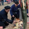 Người chủ lễ của hội Gầu Tào thực hiện các nghi lễ truyền thống vào ngày khai hội. (Ảnh: Báo Ảnh Việt Nam/TTXVN)