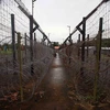 Hàng rào dây thép gai nhiều lớp ở những khu trại giam trong nhà tù Phú Quốc. (Ảnh chỉ mang tính chất minh họa. Nguồn: TTXVN)