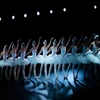 Phục trang của các nghệ sỹ trình diễn “Hồ thiên nga” sẽ mang đến nhiều bất ngờ cho khán giả. (Ảnh: BTC)