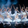 Vở ballet kinh điển của thế giới “Hồ thiên nga” sẽ được các nghệ sỹ Việt trình diễn trên sân khấu Nhà hát Lớn Hà Nội. (Ảnh: VNOB)
