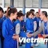 Thí sinh tham gia giải đấu Giải Vô địch Vovinam Đại học FPT mở rộng năm 2013. (Ảnh: CTV/Vietnam+)