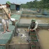 Hiện gia đình anh Trần Đình sở hữu 60 lồng cá với tổng trị giá khoảng 20 tỉ Đồng. 