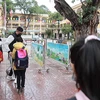 Học sinh quay trở lại trường học (Ảnh: Lâm Phan/Vietnam+) 