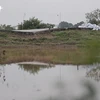 Nguy cơ vỡ đê sông Đáy tại huyện Mỹ Đức do mưa gây ngập úng kéo dài