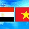 Việt Nam-Ai Cập: Sắt son 58 năm quan hệ bền chặt, vững vàng 