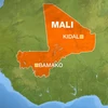 Lên án vụ tấn công lực lượng giữ gìn hòa bình ở Mali
