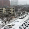 Tuyết rơi trên khắp Nhật Bản, giao thông ngưng trệ