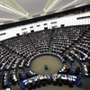EP kêu gọi viện trợ để hỗ trợ phát triển quyền sở hữu